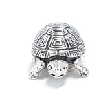 MEMORINE Tortoise MASCOT with Leather Bracelet